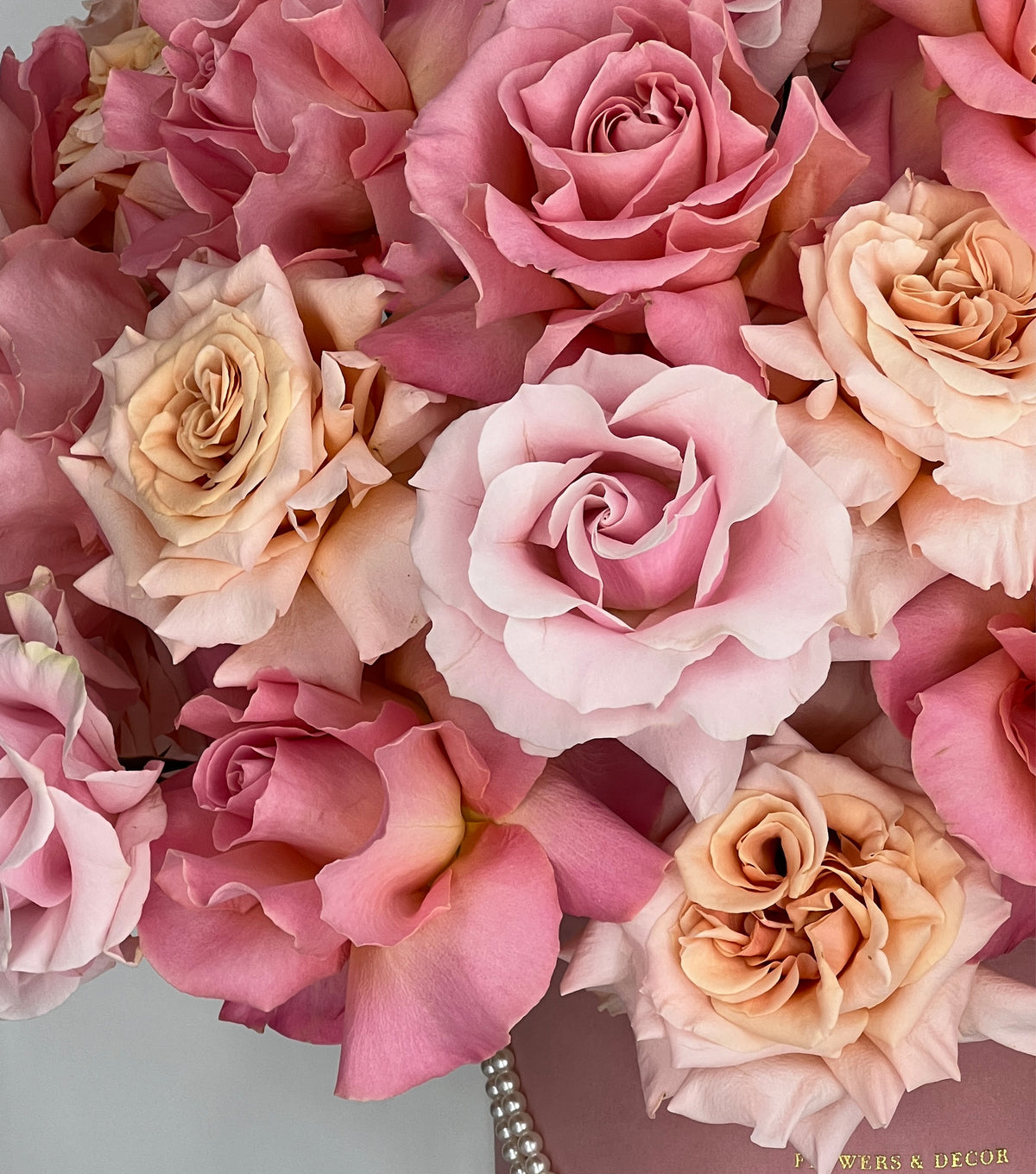 “Allure” – 23cm velvet box of reflexed roses by La Grande Beauté, luxury flower delivery London