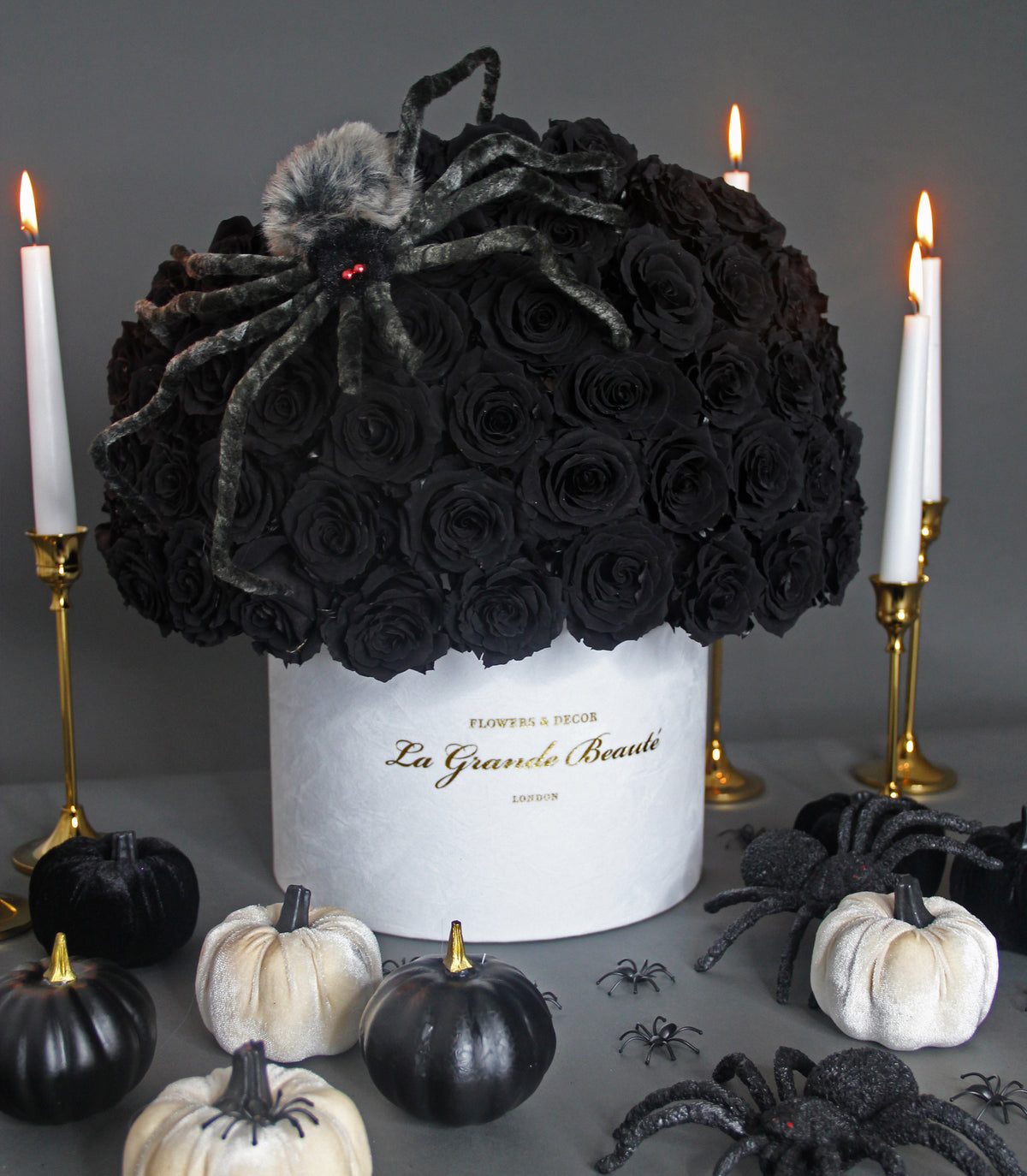 ''Deadly Spider''