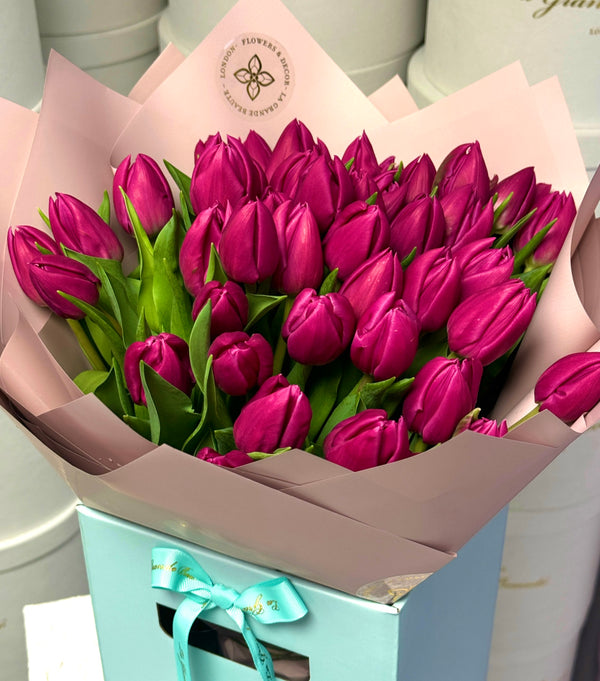 50 Hot Pink Tulips