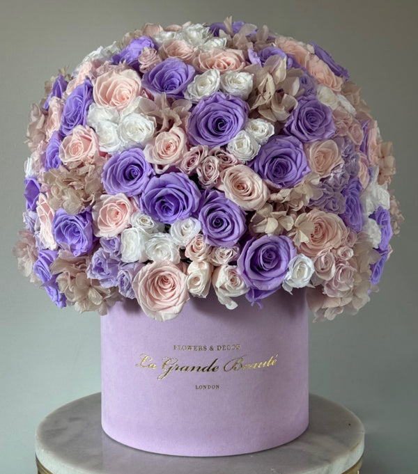 “Dreamy Lilac''