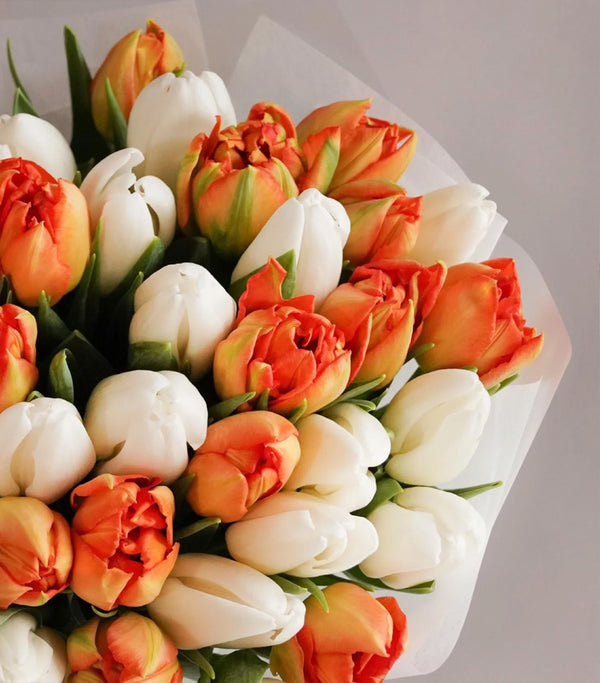Snow and Orange Tulip Bouquet