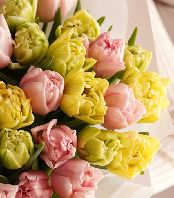 Blush Pink and Yellow Tulip Bouquet