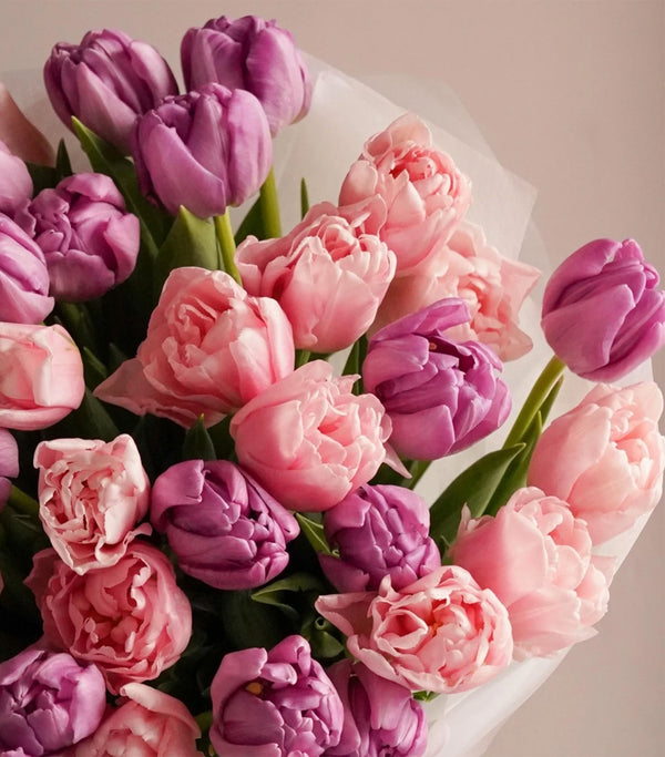 Lilac and Pink Tulip Bouquet - Same Day