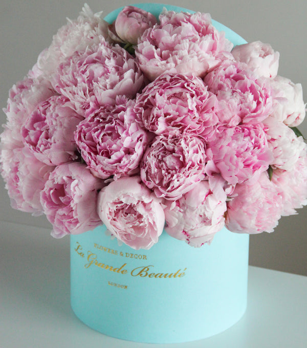 "Regal", freshflowerbox, La Grande Beaute, Fresh, There is beauty in simplicity and box "Regal" is the proof. Filled with pastel pink peonies this arrangement simply takes the breath away. The arrangement in the photo is in a 25cm size La Grande Beaute velvet box. DISCLAIMER - FRESH FLOWERS: These are fresh cut flowers and are perishable.Please check "Care & Handling" for how to care for fresh flower arrangements. Please note that if no variations from the dropdown list are chosen, you will get 