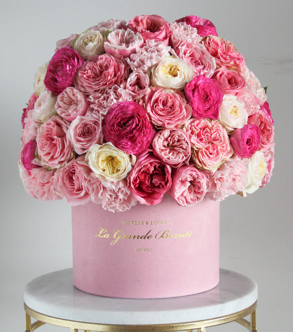 Fresh pink and white garden roses, ranunculus and carnations are artfully arranged in a La Grande Beaute 23cm pink velvet box. London flower delivery 
