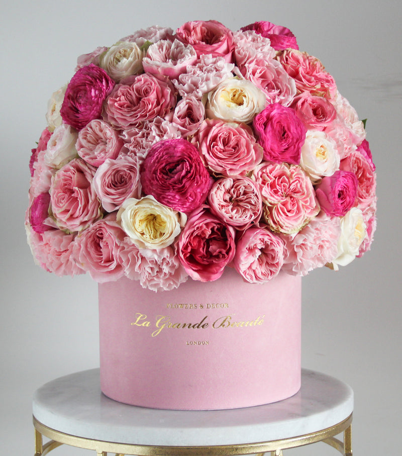 Fresh pink and white garden roses, ranunculus and carnations are artfully arranged in a La Grande Beaute 23cm pink velvet box. London flower delivery 