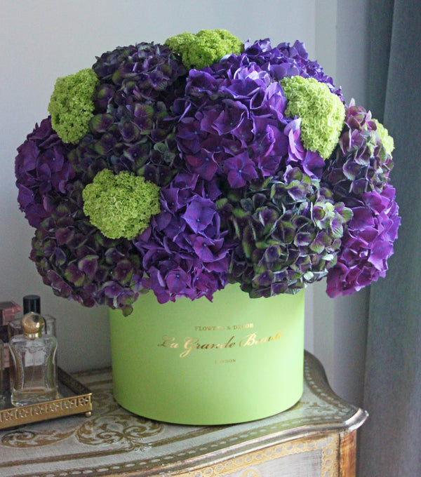 ''Purple Cloud'', freshflowerbox, La Grande Beaute, Fresh, There is beauty in simplicity and box "Purple Cloud" is the proof. Filled with purple hydrangeas this arrangement simply takes the breath away. The arrangement in the photo is in a 27cm size green La Grande Beaute box. DISCLAIMER - FRESH FLOWERS: These are fresh cut flowers and are perishable.Please check "Care & Handling" for how to care for fresh flower arrangements. Please note that if no variations from the dropdown list are chosen, 