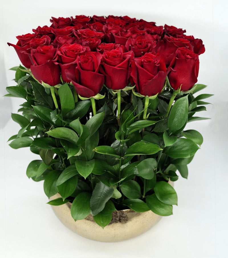 50 Standing Roses